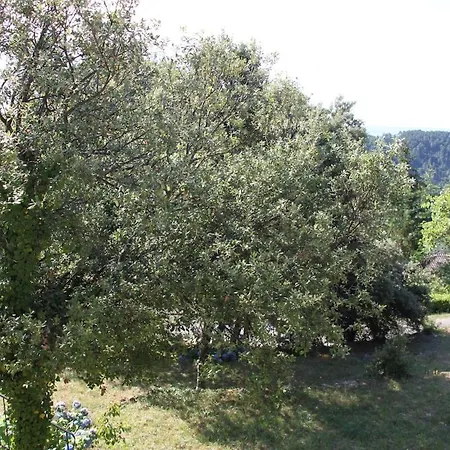 Hébergement de vacances Ribes, Maison Familiale Au Calme Ribes